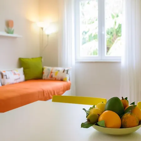 Studio And Nadia With Garden Appartement *