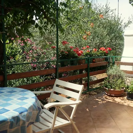 Apartamento And Nadia With Garden Poreč